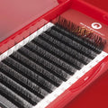 Extensiones de Pestañas YY Premium 2D Fans