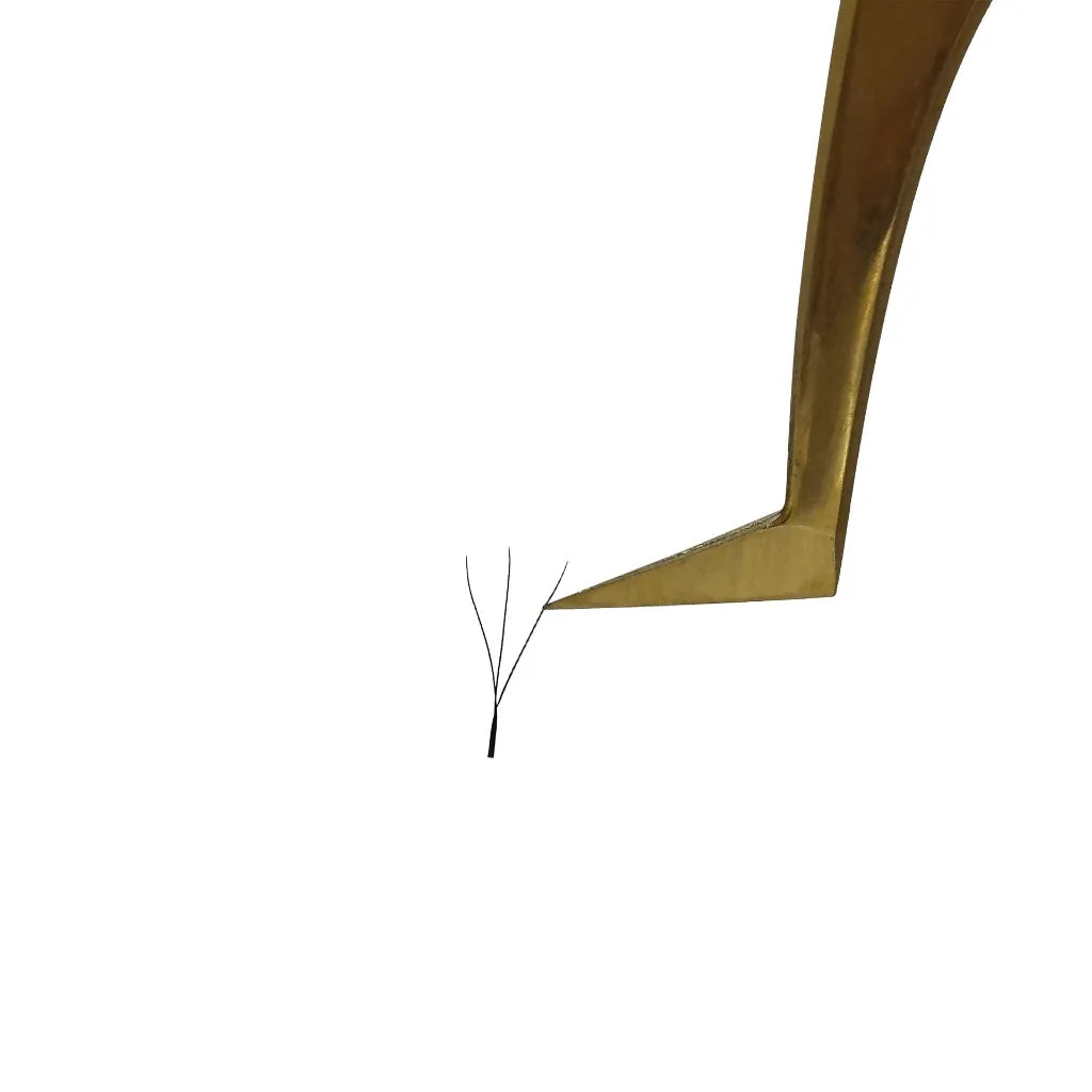 Shadow 3D YY