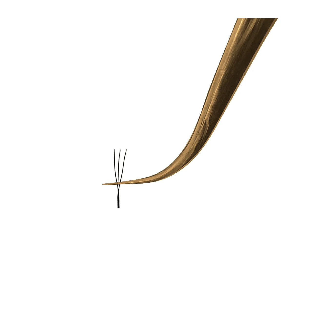 Extensiones de Pestañas U Volume 3D Perfect Fan YY Premium